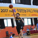 에이스유통 이미지
