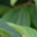 예덕피부관리 이미지