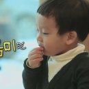 하도파파 네이버블로그