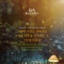몽플디자인센터