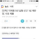 894003 이미지