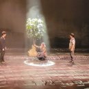 4.3 창작뮤지컬 동백꽃 피는 날 케이에스피뉴스