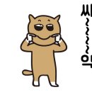 성실카공업사