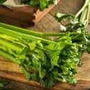 셀러리 효능 샐러리주스 효능 부작용 칼로리 이미지