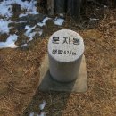 금남마을 정류소 이미지