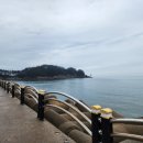 천리포선착장 이미지