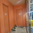 크릭크릭 | [원주] 원주 스톤크릭 카페 내돈내산 후기
