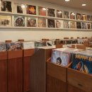 종운전자 이미지