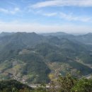 월은농장 이미지