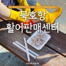 이모활어횟집 | [묵호 수산시장] '묵호항활어판매센터 다 퍼주는 이모네 내돈내산 찐추천