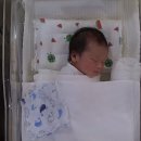 더플라워 산후조리원 일산점 이미지