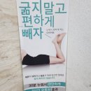 에스라인테라피
