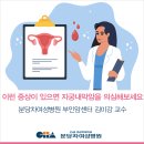 김미강 이미지