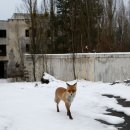 피앗발전소 이미지