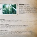 O.K농장 | 광주 맛집 이헌한우 본점 내돈내산 후기 feat. 차량 점검 서비스센터 나들이♬