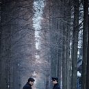 수정-116 이미지