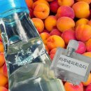 베이피움 - 강남구 삼성로85길 42 | 베이피움