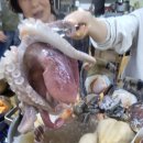 서해해물칼국수 이미지