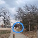 국회박물관 | 국회어린이박물관 방문 후기 (주차팁,가는길, 예약법)