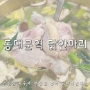종로빈대떡(빈대떡전문) | 동대문역 닭한마리 골목 순희네빈대떡 동대문점 추천 소스 점심 맛집