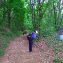 내포2리 이미지