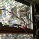 색채의 숲 이미지