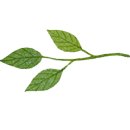 용신47 이미지