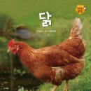 이조가구 - 김해시 김해대로 2701-1 | 이조가구