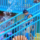 월드 합기도 이미지