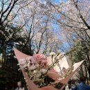 신라스테이 마포 | [마포/공덕] 신라스테이 마포 호캉스 후기, 근처 맛집까지 완벽했던 하루 기록