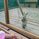 광해목장 이미지