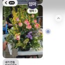 산이키운삼 | 기분이 태도가 되어서 남을 베려 하면 어떡하지