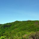 지리산 바래봉 정기산행 (24.5.18) 이미지