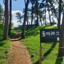 690 | 함평 돌머리해수욕장 돌마레690 카페 후기