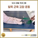 수원센트럴요양병원 이미지