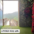 (주)중앙미생물 | 경남 하동 여행 스타웨이하동 스카이워크 비오는 날 솔직후기