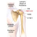 인트로짐 가장점 이미지