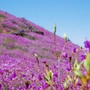 힐링코스 이미지