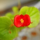 사랑만들기 이미지