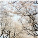 지리산터널펜션 이미지