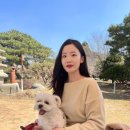 베러댕댕 이미지