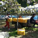 심가네농장 이미지