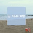 씨유삼양해수욕장점 | [공지] 2021년 봄, 피붙이와 급 떠난 제주도 4일차 1탄