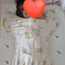 두번째 침대 - 레이디가구 레브 데이베드 &amp; 코니 스와들수트 / 첫번째 침대였던 리안드림콧 사용 후기