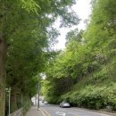보문산 산책길 | 대사동 베이커리카페 보문산공원 산책후 카페 멜뷰