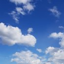 얌차 (yumchaa) 이미지