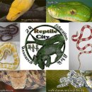 성규농장 이미지