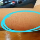 세이브 약국 이미지