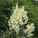 유카라이프 이미지