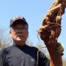 동수농장 이미지